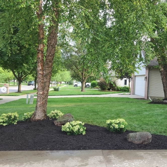 Rockwell Earthworks Michigan SBDC